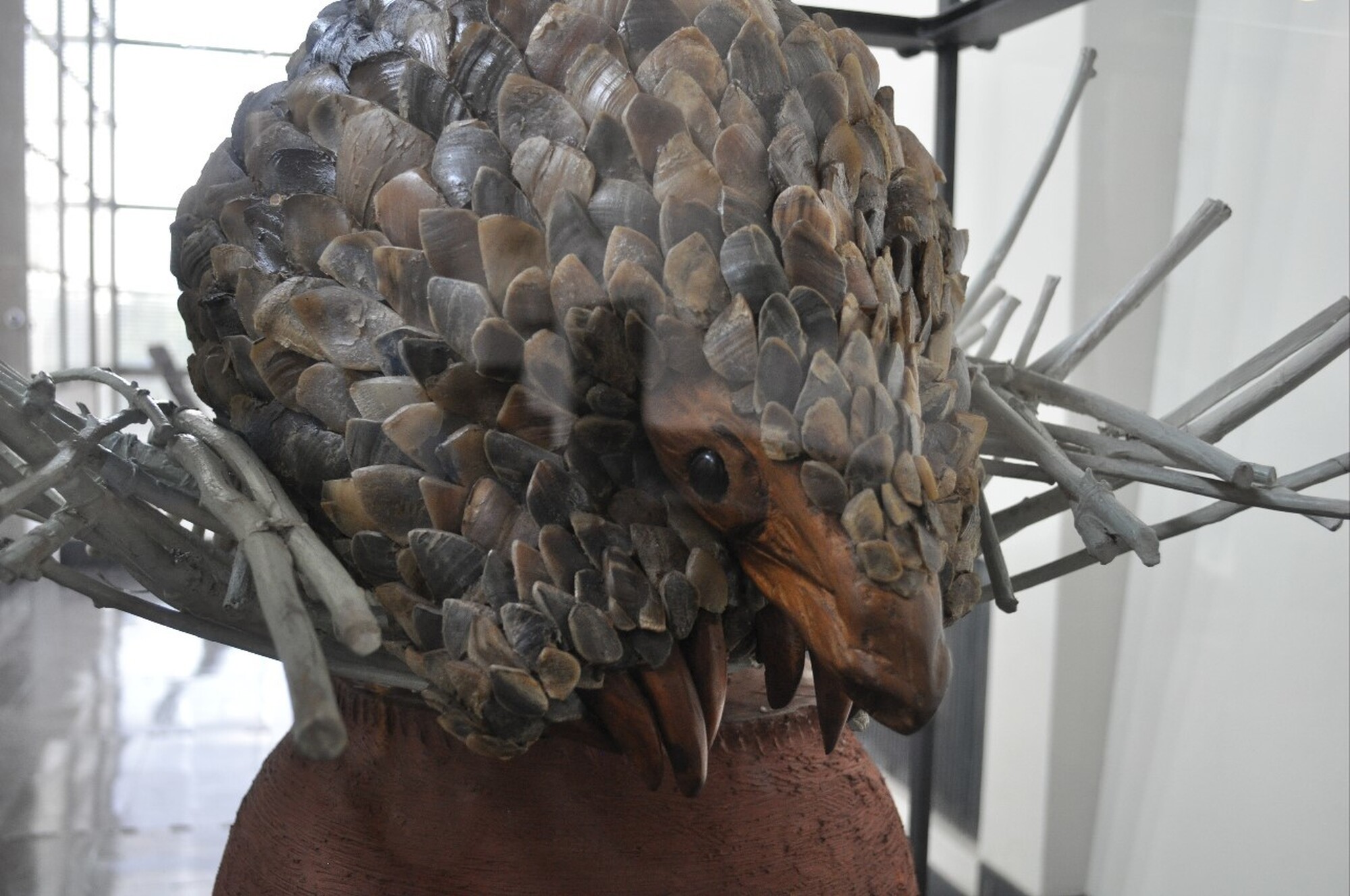 Pangolin