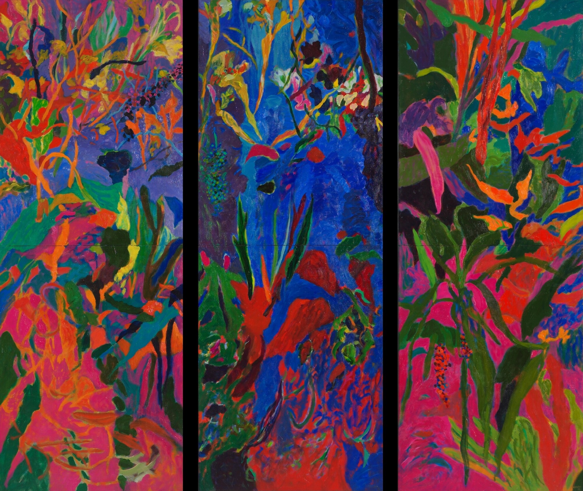 Andrew Verster Hotlands Gisèle Wulfsohn access web