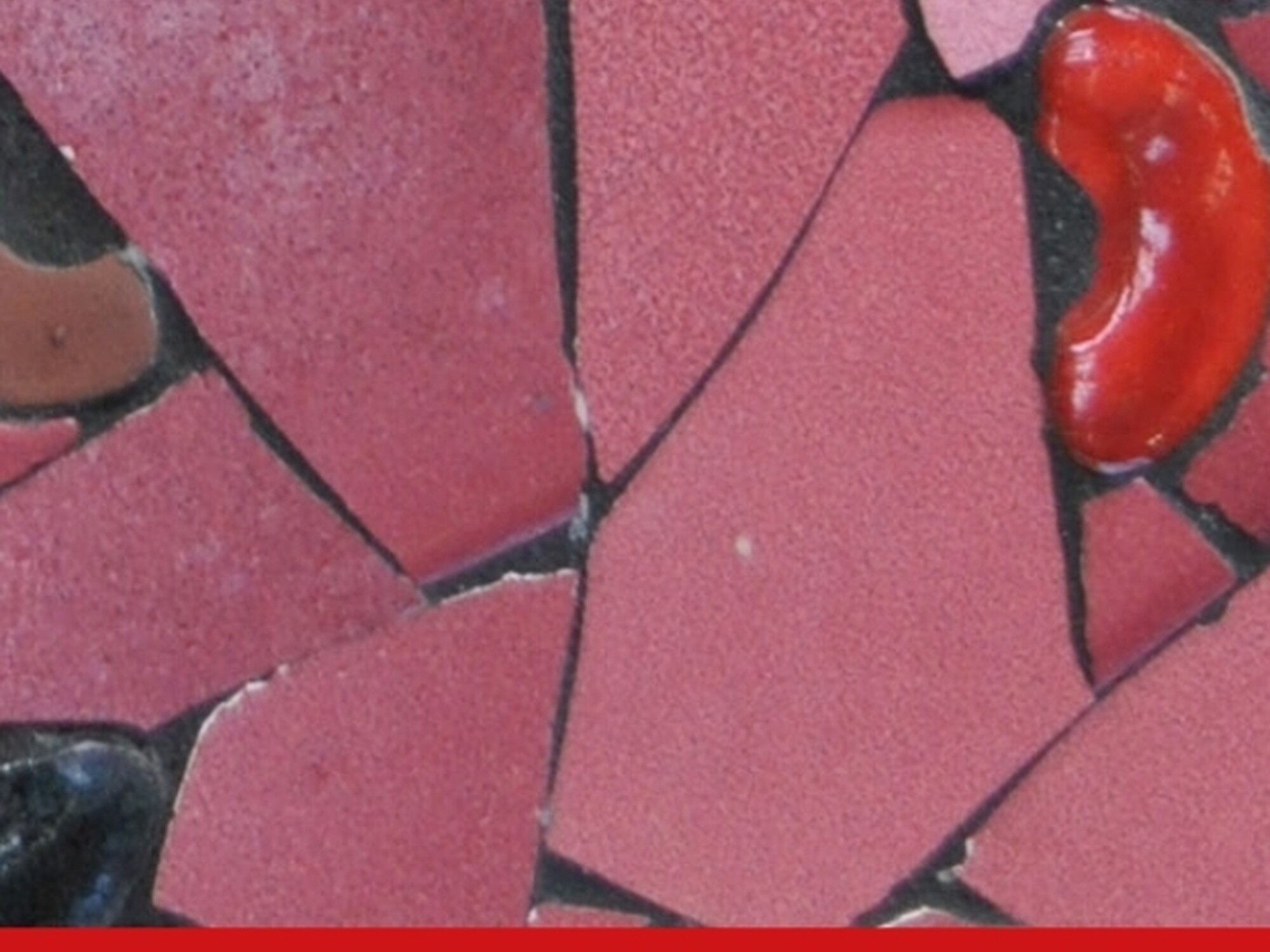 CCAC Constitution booklet English digital page 0001