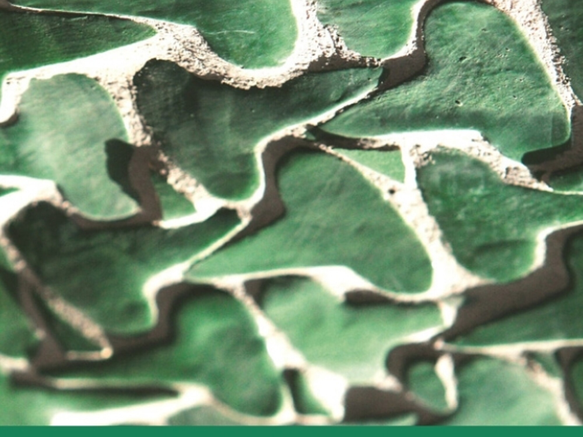 CCAC Constitution booklet Xhosa digital page 0001