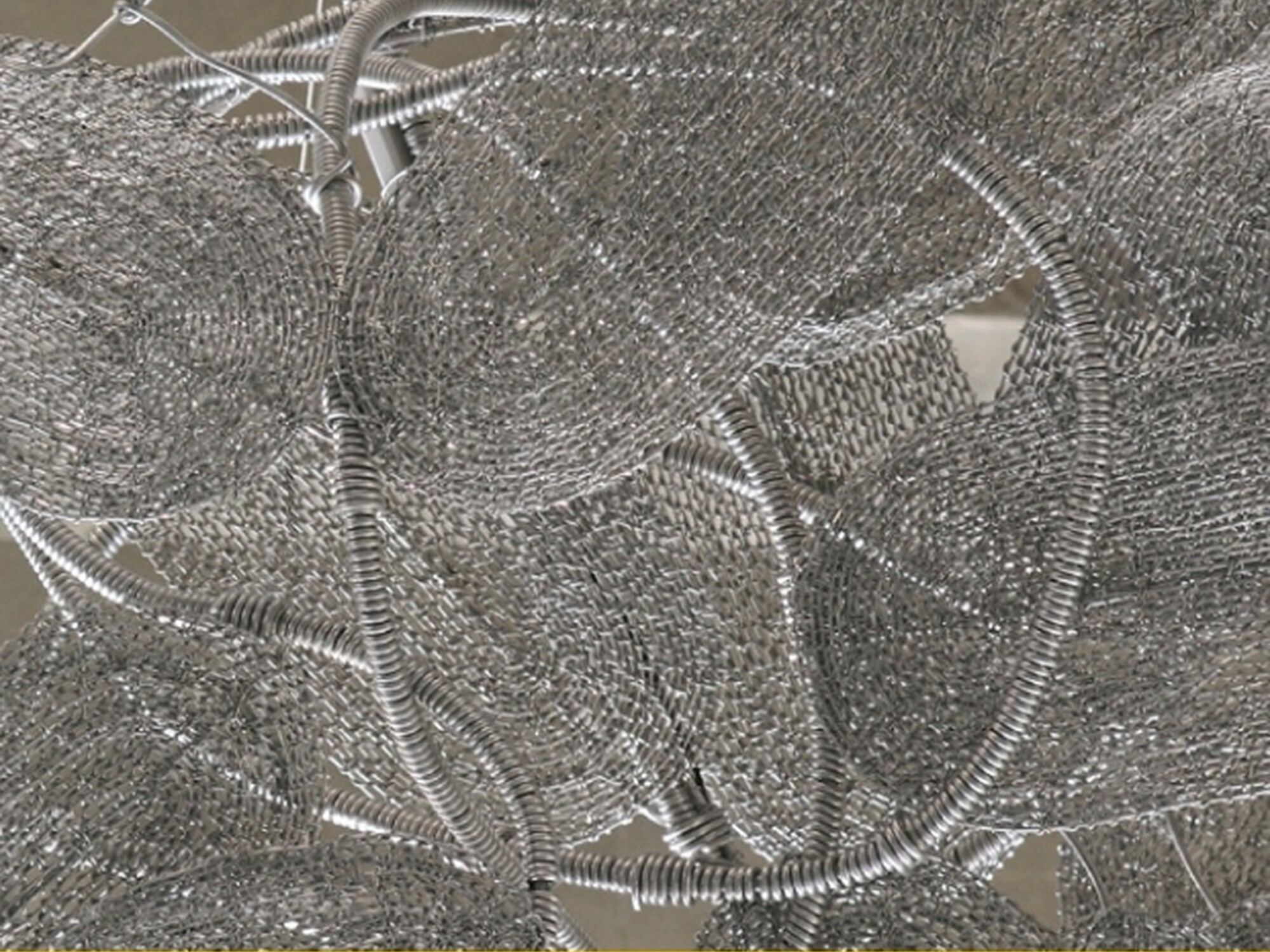 CCAC Constitution booklet Afrikaans digital page 0001