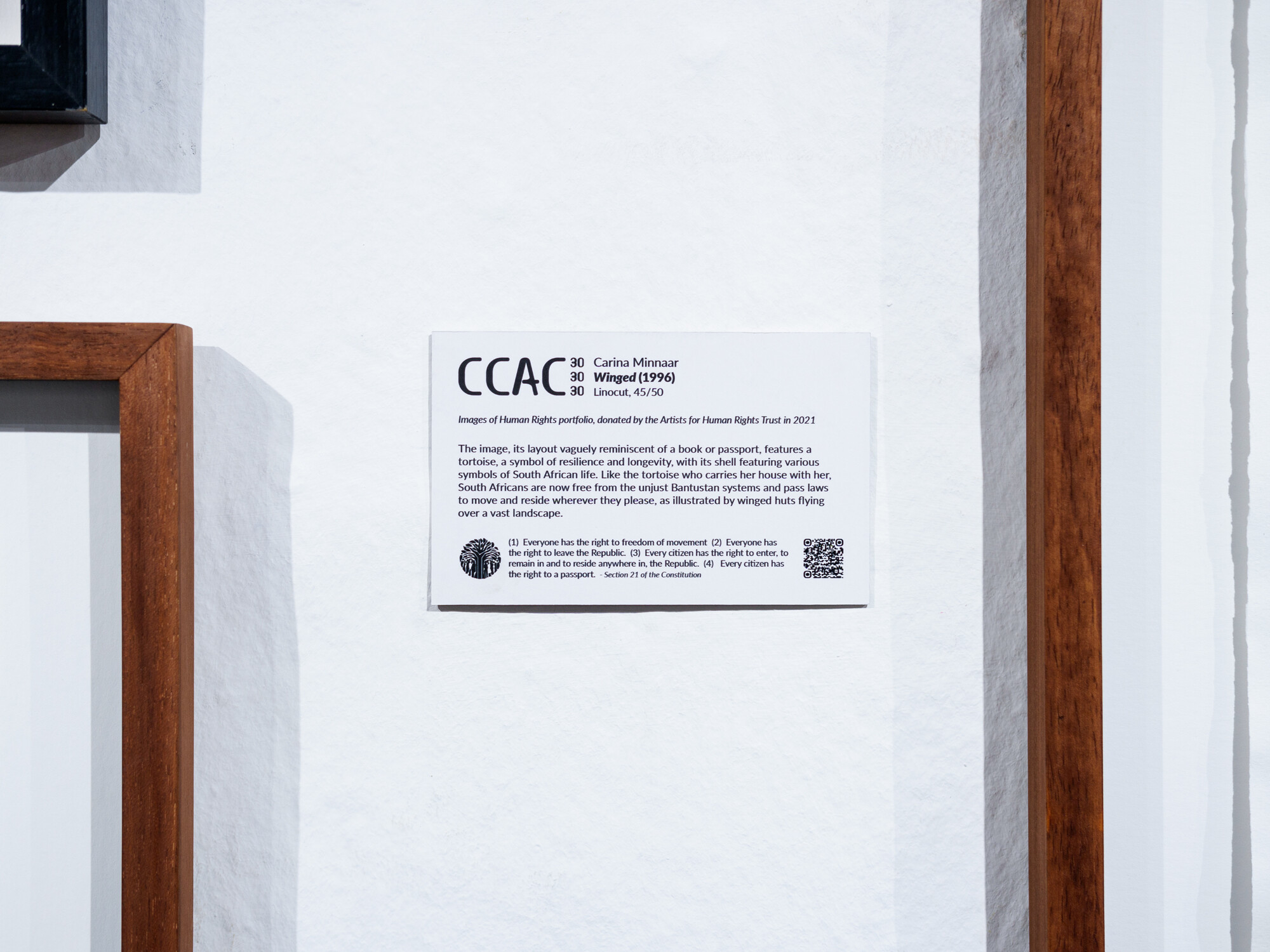 2024 09 28 A LUTA CONTINUA Views 30