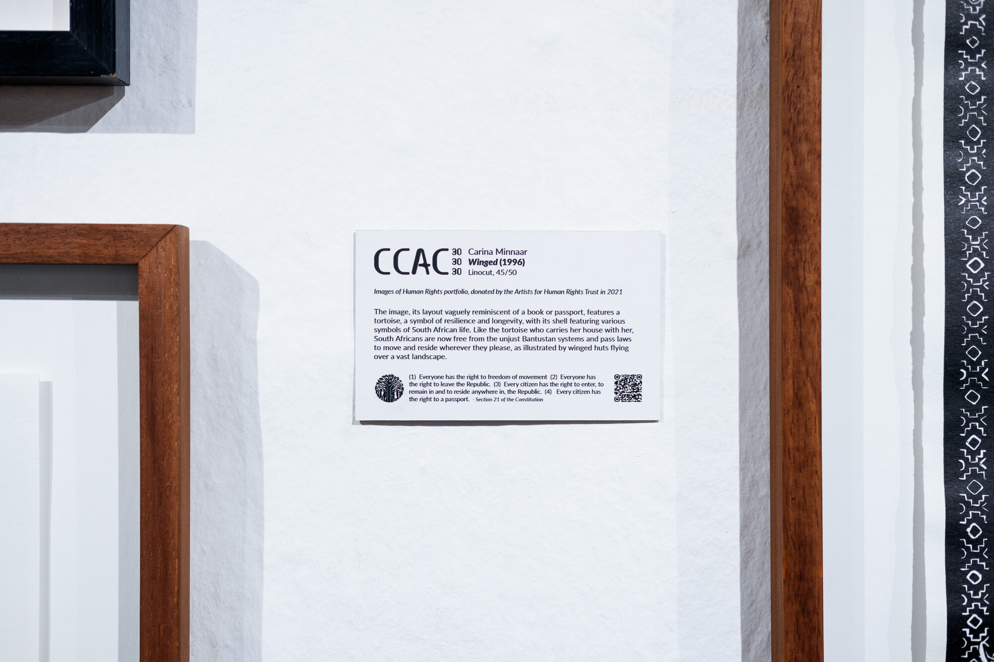 2024 09 28 A LUTA CONTINUA Views 30